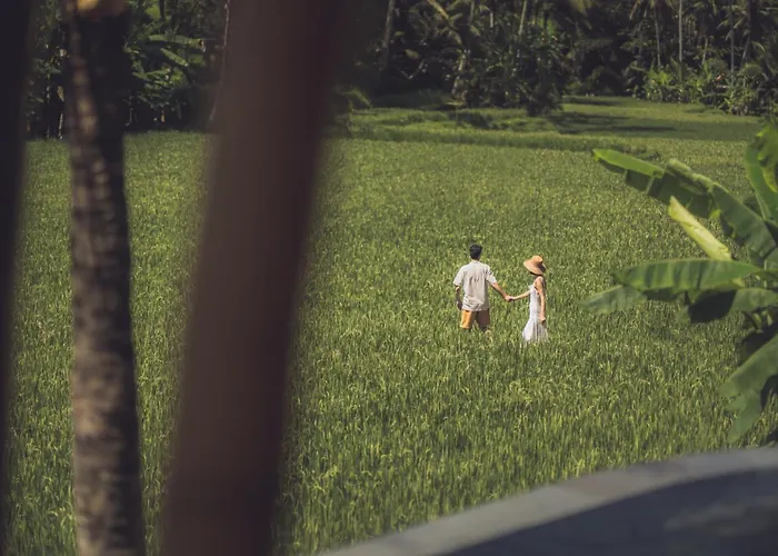 Equipoise Resort- Luxury Eco Bamboo In Ubud By Ini Vie Hospitality (adults Only) * تيغالالانغْ
