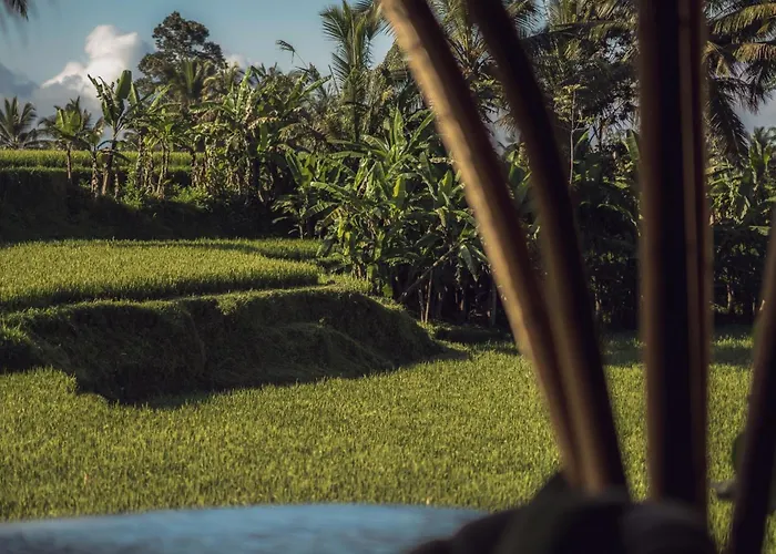 Equipoise Resort- Luxury Eco Bamboo In Ubud By Ini Vie Hospitality (adults Only) تيغالالانغْ